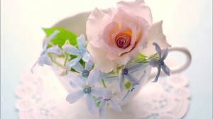 【BLCD】抜粋したBL作品をちょっとずつ詰め合わせました㉑【腐向け】