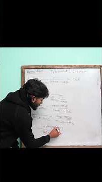 Trigonometry in One Shot | Formulas + Tricks + Questions