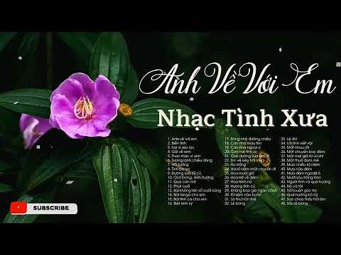 Anh về với em, Biển tình - Nhạc tình xưa hải ngoại nghe ghiền mãi không quên