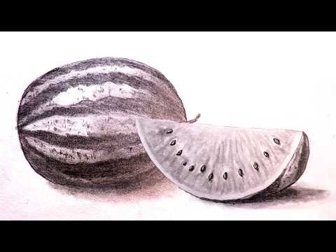 How to Draw a Realistic Watermelon 🍉 (Step by Step Easy Tutorial)