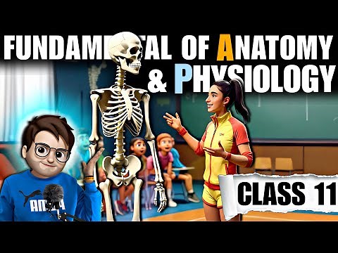 Fundamental of Anatomy and Physiology class11th / One Shot / Animation / Chapter7 Physical Education