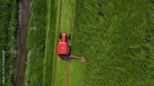 Tractor mows green grass to dry hay for livestock feeding in meadow pasture. Haymaking with tractor mower. Work in agronomic farm for making business and production organic eco bio animal feed