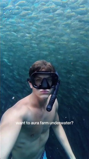 Learning freediving is one of the best things you can do for yourself — not just for the ocean, but