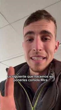 This is a day at our mini lop rabbit farm🐰