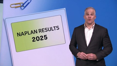 NAPLAN results show dire scores, but some researchers say scope is too narrow