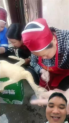 Special Ways to Pluck Goose Feathers #facts