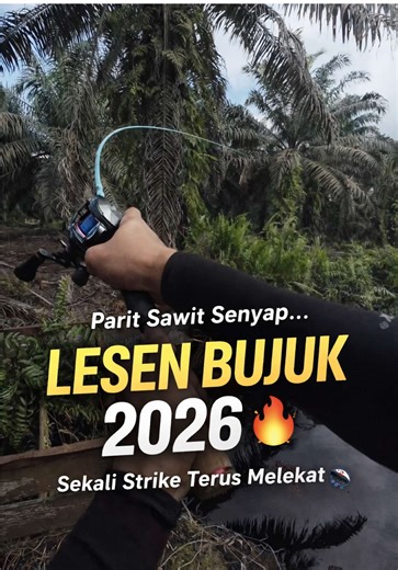 Strike Haruan Bertubi-tubi! Taktik Casting Terbaik