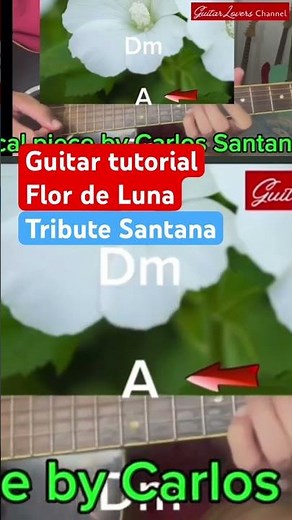 Guitar Tutorial: Moonflower (Carlos Santana) #Moonflower #Santana