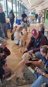 Fluffball fun at Overgate today with Sundae and Micky - two Guide Dogs Scotland puppies in training - and the wonderful team of volunteers, along with Anne Rowse. Visit the Guide Dogs pop-up on the upper mall mezzanine until 3pm today, and 11am - 3pm tomorrow for more cute doggos, tombola with great prizes and cool merchandise shop. #GuideDogsScotland #Overgate | Overgate