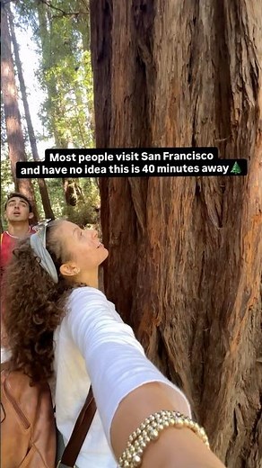 The Giant, Ancient Trees of California! #nature #travel