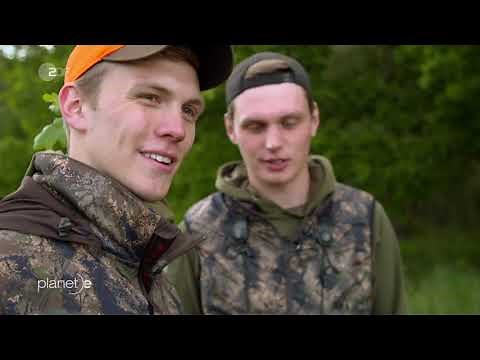 Between hunting fever and responsibility