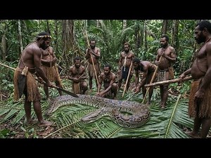 Indian python vs Korowai Tribe:Living Completely Off the Land | Documentary