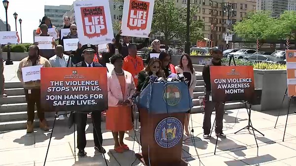 Youth gun violence in the Bronx rises as overall city crime rate falls: NYPD