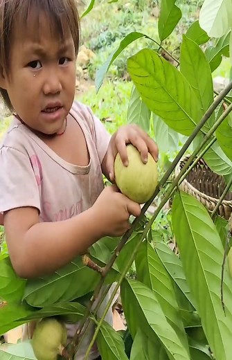 525K views · 2.9K reactions | #videoviral #LaughOutLoud #NASA #camplife #building | Anita Perri | Facebook