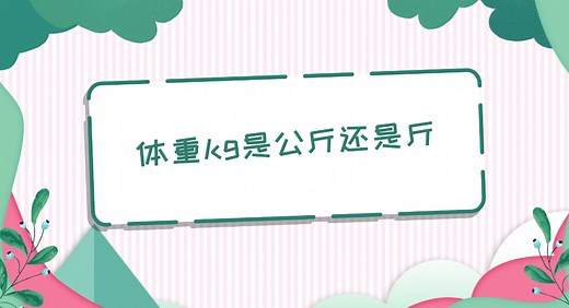 体重kg是公斤还是斤