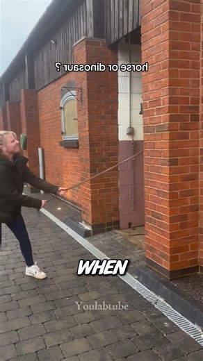 Tiniest Horse You'll Ever See! 😱 #shorts #magic #viralvideo #jaidmeel #shortvideo #horse