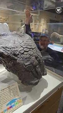 Largest Ankylosaurus Skull Ever Discovered #Ankylosaurus