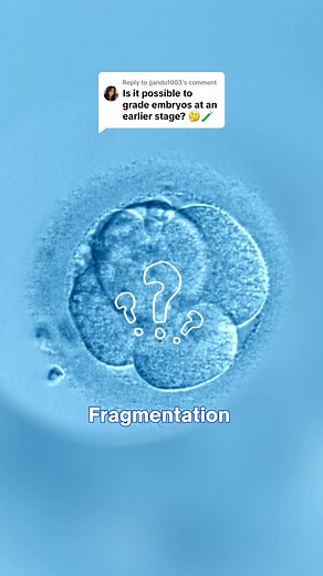 Understanding Embryo Grading in Early Development