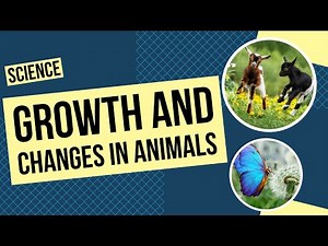All About Growth and Changes in Animals