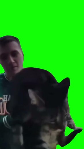 Free green screen #cat #greenscreen #meow #doorbell #fyp