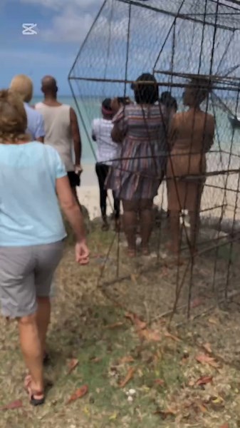 #CapCut #tobagofun#fyp#viral#viralvideos#taxi#tobago#tourism#tourguide#thingstodointobago#attractionsintobago