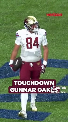 Michigan Panthers on TikTok