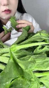 Live: Newcomer's First Ice Cream Experience - Chomp & Savor