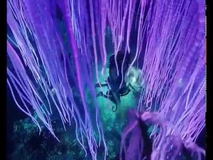 "Avatar" - Deleted Love Scene [RE-SCORED]