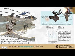 Understanding What Caribou Hear and How They Respond to Sound Disturbance