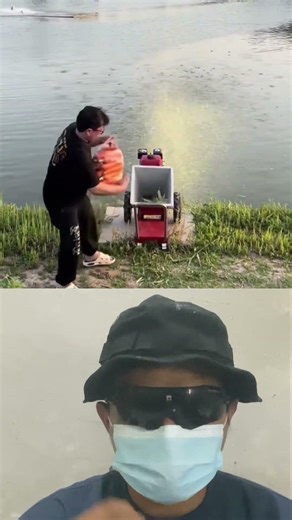 Vegetable Grinder Machine Feeding Fish Pond