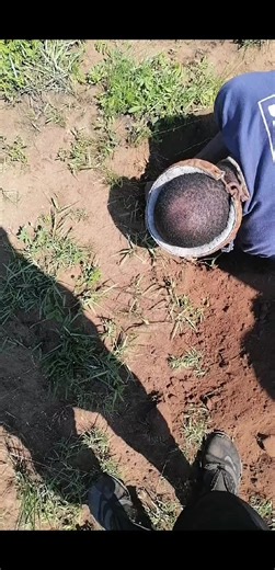 7.6K views · 117 reactions | IDlozi on Reels | Facebook