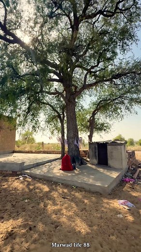 29K views · 909 reactions | लोकदेवता गोगाजी को धोक ‍♂️ #marwad #marwadi #marwar #village #villagelife #rajasthan #rajasthani #rajasthaniculture #rurallife #marwadiculture | Narendra Choudhary | Facebook