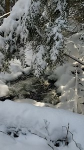 4.5K views · 104 reactions | Snowmobile Trails are OPEN! For...