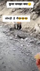 9K views · 10K reactions | Amazing videos on Reels | Facebook