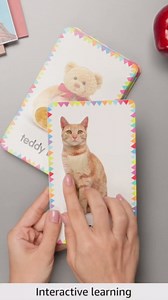 My First Touch and Feel Language Picture Cards: First Words (My First Board Books)