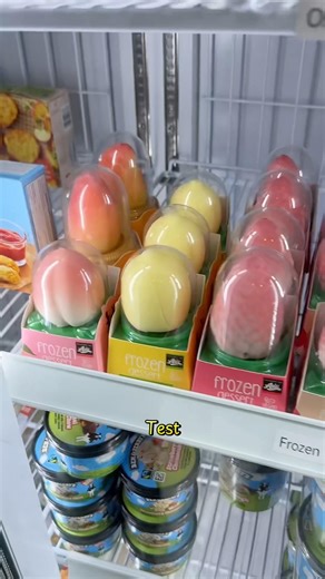 Taste Test mit @Hasan4bii 🍦