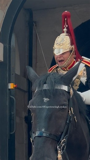 KING’S GUARD PATIENCE TESTED! ⚠️⚡️💂‍♂️🐎🗡️ | Horse Guards, Royal guard, Kings Guard, Horse, London