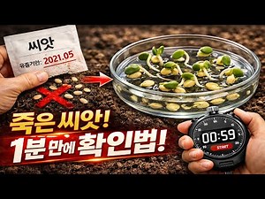 Stop Planting Dead Seeds! A 100% Guaranteed Trick to Check Viability in 1 Minute