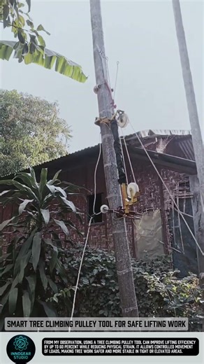 Smart tree climbing pulley tool for safe lifting work #tools