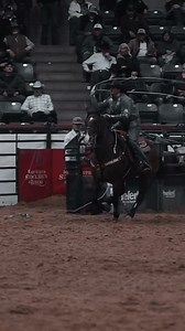 Clay Logan Open today. Equinety CSI Saddlepads Trent Ward Saddlery Big V Feeds Inc. Apex Boot Co Classic Rope Wrangler Western Resistol RopeSmart DRC Construction Iconoclast Equine Support Boots Caliber Equine, LLC Athens Equine World Youth Team Roping Championships Succeed Equine Platinum Trailers Roofing and Restoration Services of America LOGAN INDUSTRIES | TEXAS BUILDING CONTROLS. | Tyler Wade Team Roping