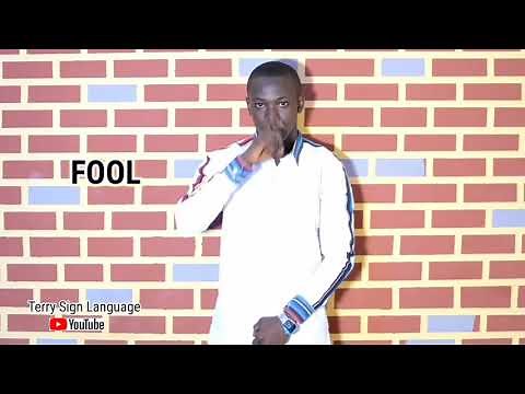 Sign Language sign for "FOOL" ( ASL )