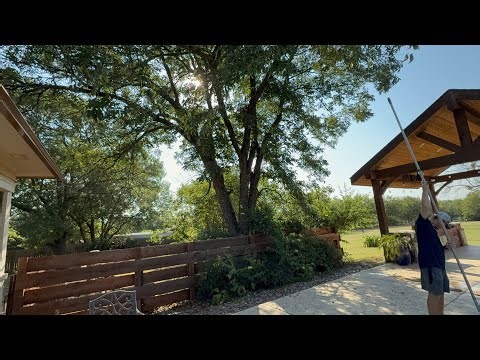 Dreadful trees to have by the Pool episode 2