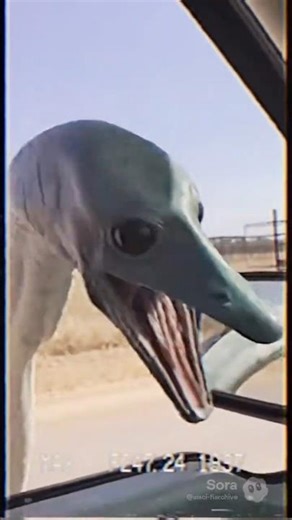 Outworld Park – Drive Thru Alien Safari Footage