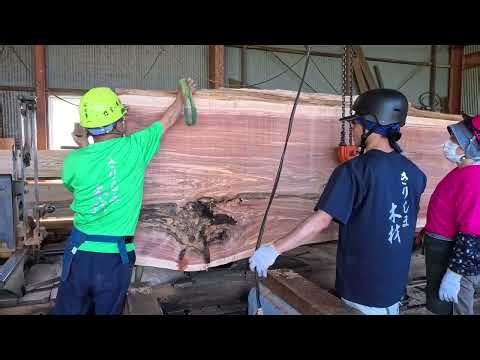 Vol.10 御神木・杉の製材