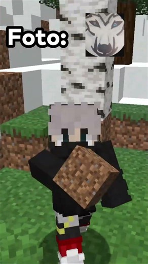 Minecraft but I CAN'T TOUCH the COLORS of your PHOTO 130 #shorts #minecraftshorts