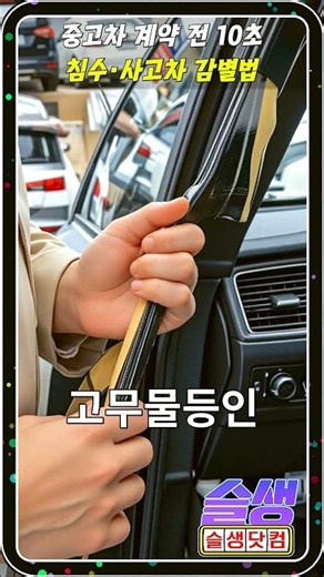 [프라 그마 틱 무료 슬롯] 중고차 체크법: 침수·사고차 10초 감별