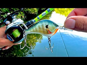 PESCA con SEÑUELO RAPALA en los MANGLARES || pescando PARGOS con MINNOW || JERKBAIT || MEDIA AGUA.