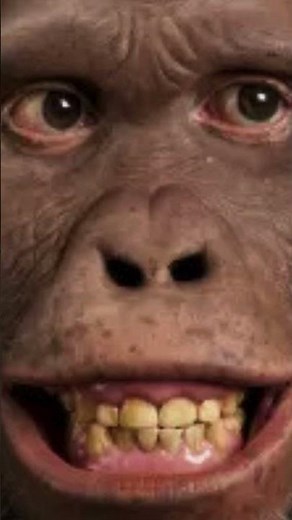 Our Early Human #ancestors from Africa