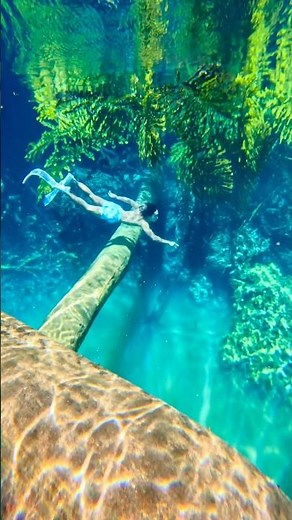 Underwater World of Labuan Cermin, East Kalimantan