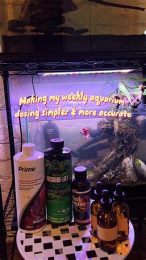 Transform Your Aquarium Dosing with Dropper Bottles